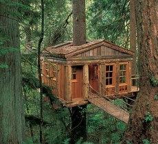 沐字典故取名能提升事业运势与运气吗(起名名字沐阳)