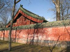 AB型血女性的品德性格秘密(女性兴趣感情)