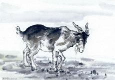 被另一半伤害了爱情狮子座星座(还会各式念念不忘的星座)