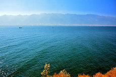 一九八零属相为猴人逢鼠年命运怎么样呀生肖属相五行(1980年猴命里已经定好)